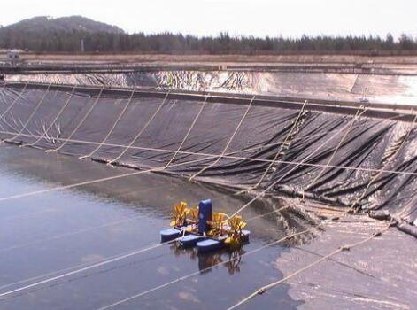 關(guān)于魚塘防滲膜施工方法有哪些您了解嗎