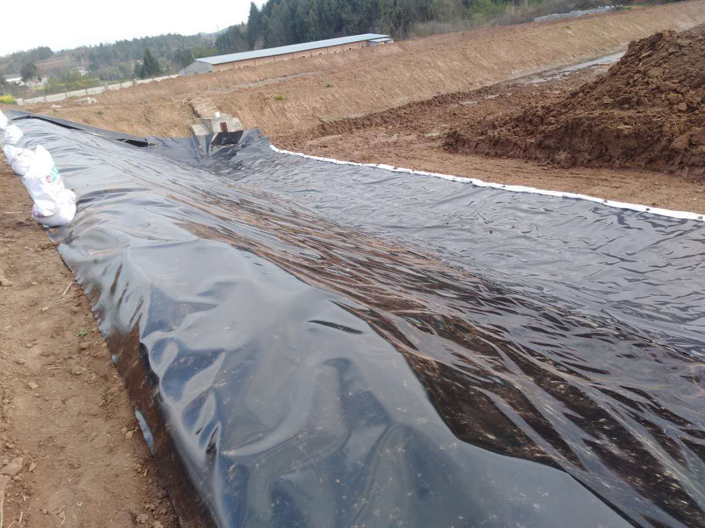 使用這個(gè)方法創(chuàng)造財(cái)富 利用防滲膜修建高產(chǎn)魚(yú)塘