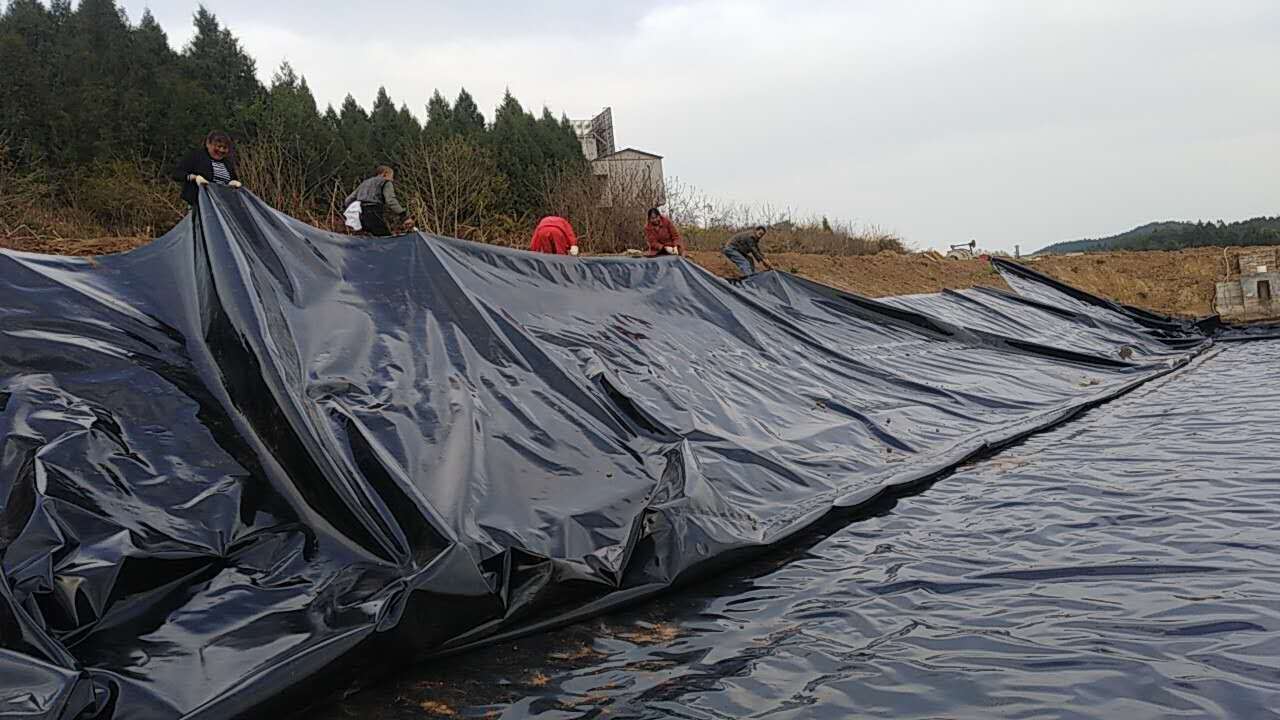 使用這個(gè)方法創(chuàng)造財(cái)富 利用防滲膜修建高產(chǎn)魚(yú)塘