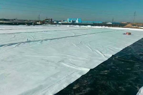 復(fù)合土工膜生產(chǎn)規(guī)模較大的廠家有哪些？