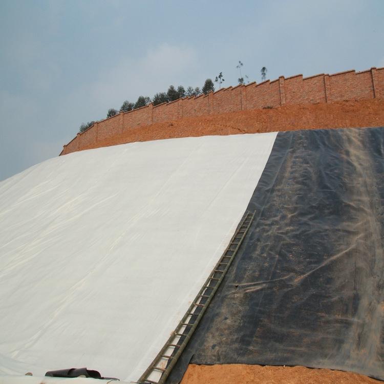 土工膜防滲技術(shù)如何施工可具有顯著經(jīng)濟性