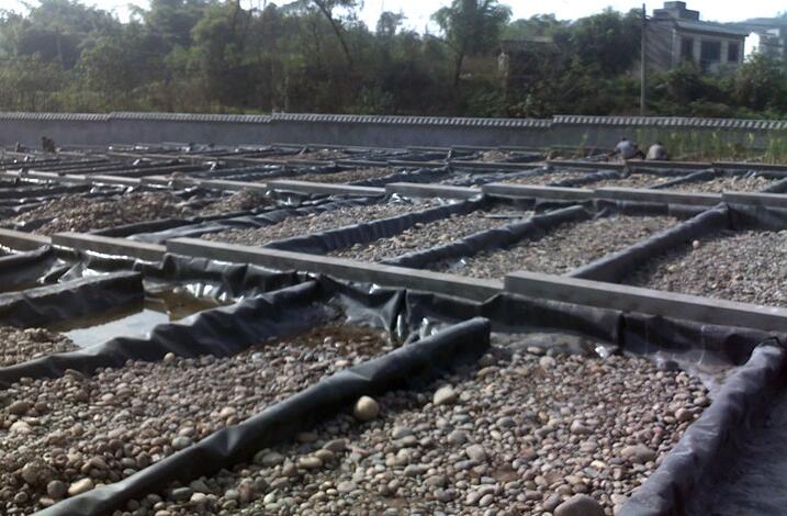 土工膜和防水毯用于魚塘哪個(gè)更占優(yōu)勢(shì)