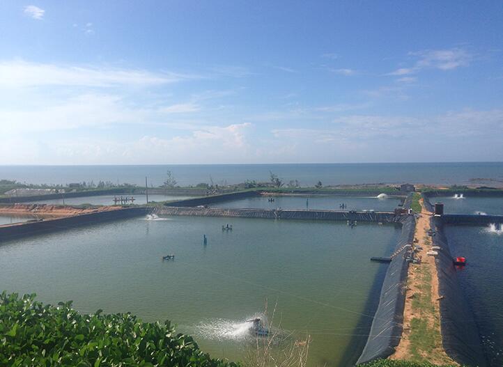 防止垃圾填埋場出現(xiàn)水平滲漏改進的方法和建議