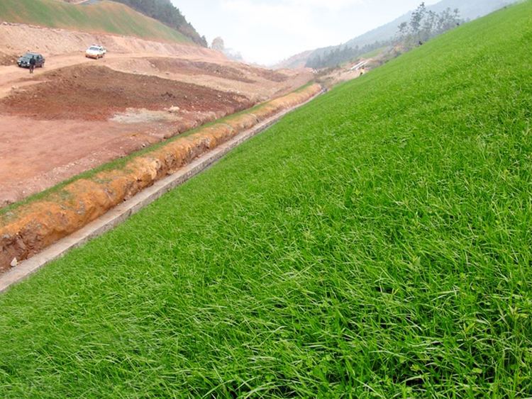 新型土工材料護(hù)坡建“會(huì)呼吸”的生態(tài)駁岸