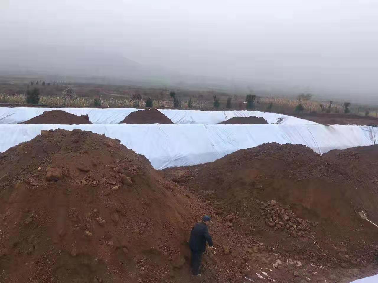 HDPE土工膜(蓮藕專用膜)的栽培模式