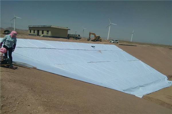 復合土工膜力學特性、整體性及經(jīng)濟性