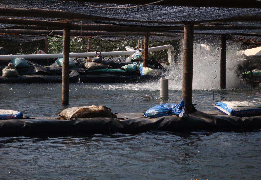 HDPE土工膜施工質(zhì)量控制關(guān)鍵點