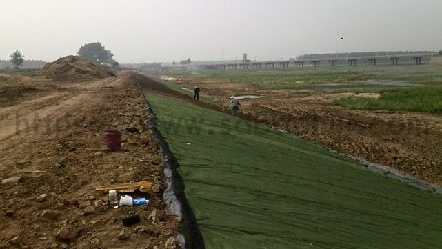 你知道城市綠化的草坪是如何一天內(nèi)生長的嗎？