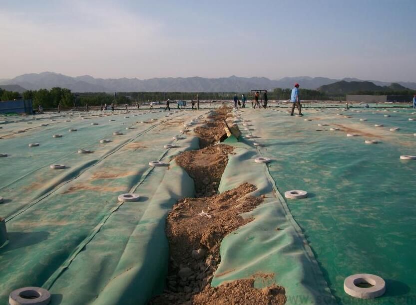 高密度聚乙烯土工膜的成型工藝有兩種類型  推廣前景廣闊