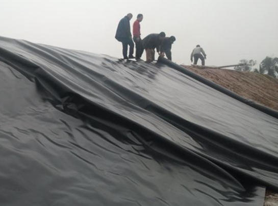 土工膜在堤防工程、河湖治理工程等減滲治理中都得到了很好的應(yīng)用