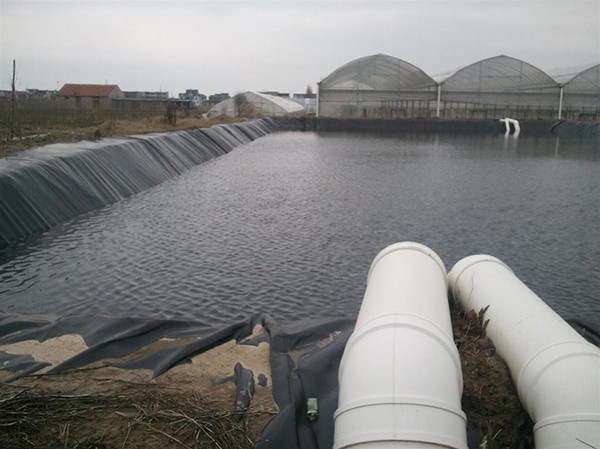 地下水位常年高于鋪膜高程正常設(shè)，低于鋪膜高程不設(shè)