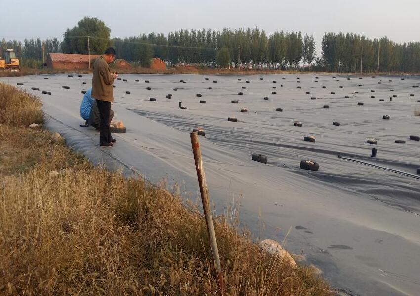 什么是hdpe防滲膜？它有什么優(yōu)點(diǎn)？