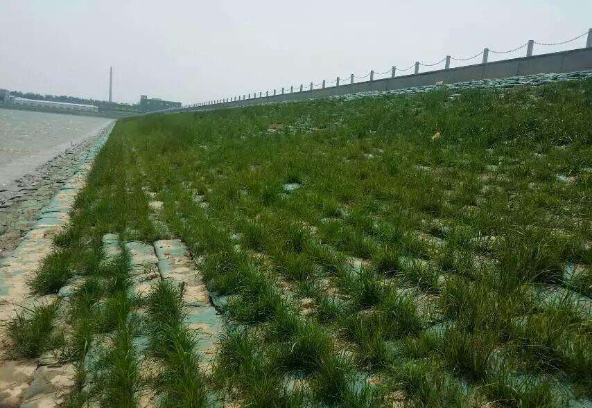 常用的海島邊坡修復(fù)技術(shù)有哪些？如何修復(fù)海島邊坡？