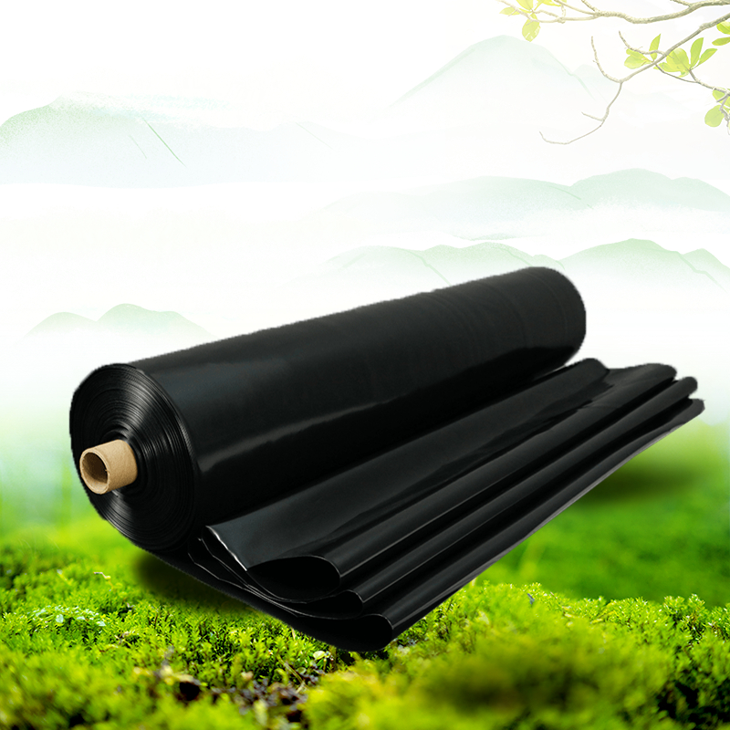 電商食品獼猴桃優(yōu)惠滿減活動(dòng)合成商品主圖.jpg 電商食品獼猴桃優(yōu)惠滿減活動(dòng)合成商品主圖.jpg